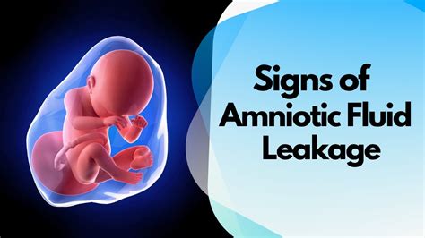 leaking amniotic fluid symptoms|Leaking Amniotic Fluid: Signs in 1st to 3rd Trimester